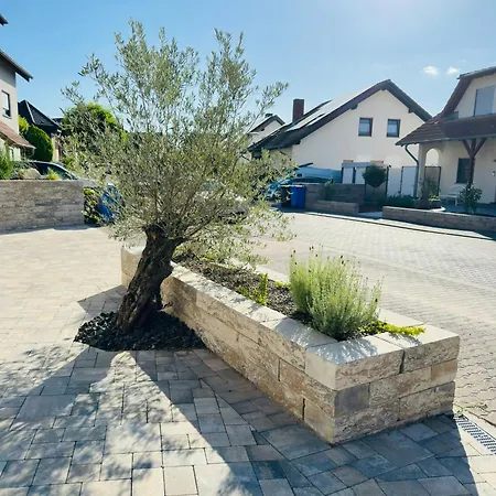 Naehe Mainz - - Breivogel In *