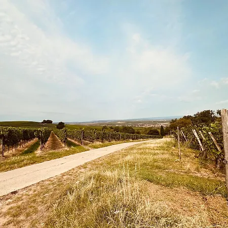 Naehe Mainz - - Breivogel In *