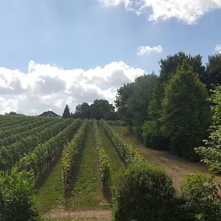 Naehe Mainz - - Breivogel In Woerrstadt