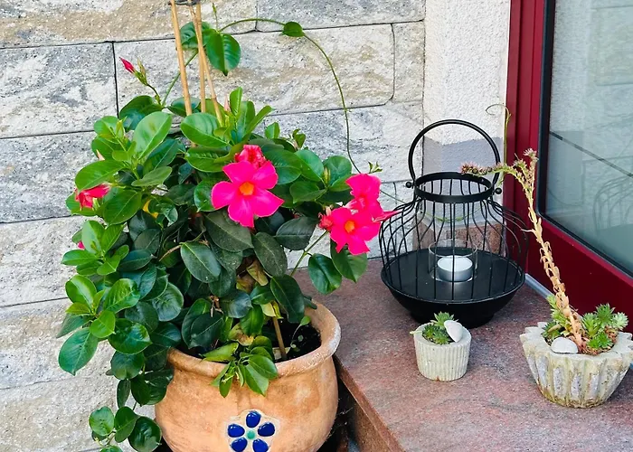 Naehe Mainz - - Breivogel In * Wörrstadt