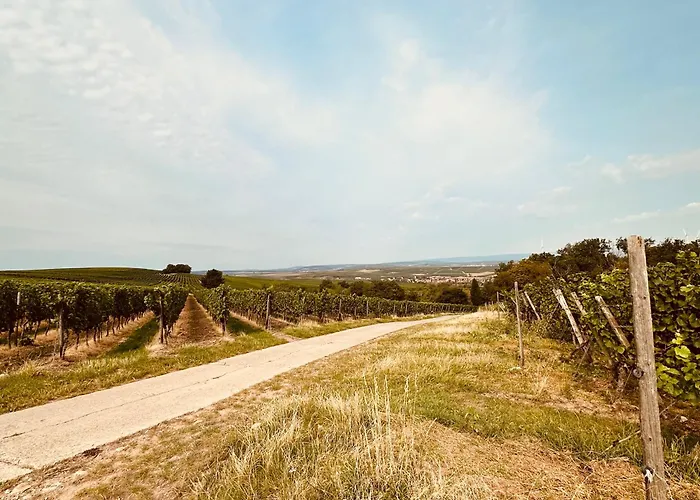 Naehe Mainz - - Breivogel In *
