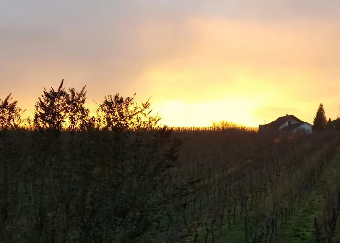 Naehe Mainz - - Breivogel In Wörrstadt